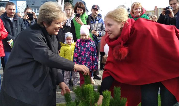 Inne Brzegi - Polska. Kaliningrad